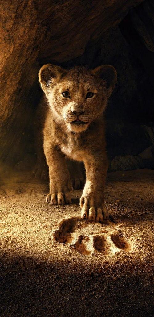 带你吃瓜狮子王,带你穿越草原，感受荣耀与成长之旅