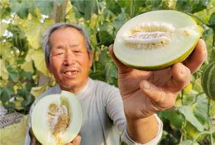 河北下小雪吃瓜,街头吃瓜成景