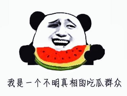 天赐遇到吃瓜老板了吗,揭秘吃瓜老板的神秘面纱