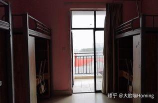 贵州大学宿舍吃瓜,一场别开生面的“吃瓜”盛宴