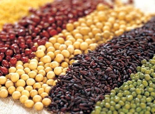 吃瓜尔豆种子有什么用处,多功能用途的天然宝库