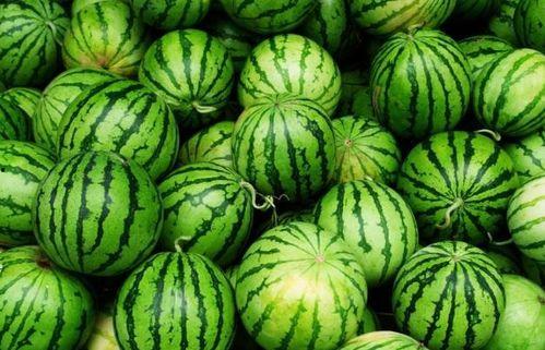 夏天吃瓜有妙招,吃瓜养生,掌握这些妙招轻松度夏