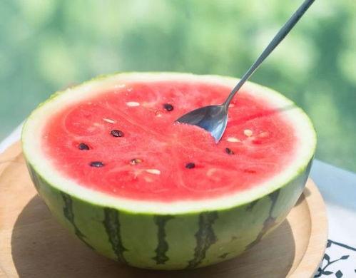 看谁最会吃西瓜 瓜,看谁最会吃瓜大比拼