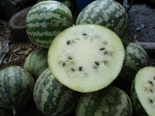 黑色胶瓜怎么吃,黑色胶瓜的多样食法探索