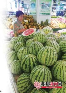 吃瓜群众黄市民,揭秘吃瓜群众的趣味生活