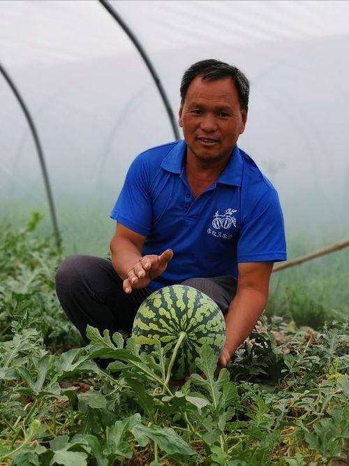 河南近期吃瓜事件,揭秘网络舆论的风云变幻