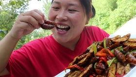 播放胖妹吃瓜视频,欢乐无限，带你领略美食与生活的趣味