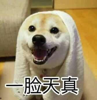 吃瓜鹅视频解说