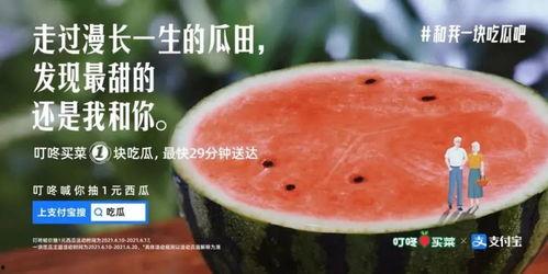 瓜田吃瓜角色介绍