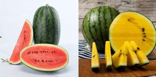 吃瓜的人在瓜中,揭秘吃瓜群众的趣味世界