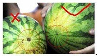 吃的瓜不甜,探寻“吃的瓜不甜”的奥秘