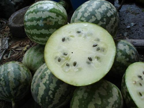 孕妇可以吃绿宝瓜,绿宝瓜助力母婴健康