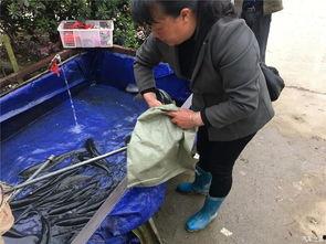 吃瓜群众回家视频,揭秘日常生活中的温馨瞬间